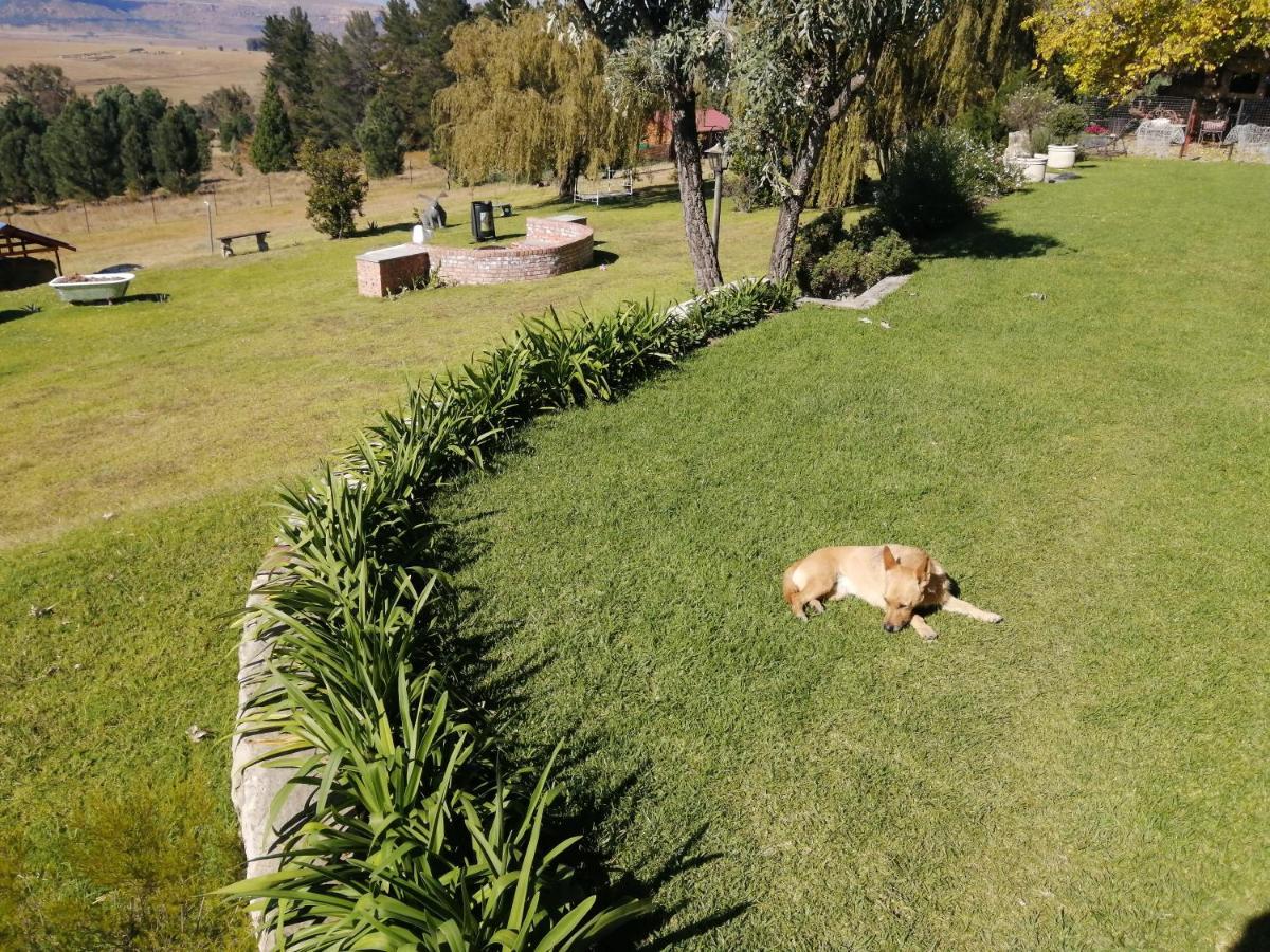 Отель The Fat Mulberry Guest Farm Фурисбург Экстерьер фото